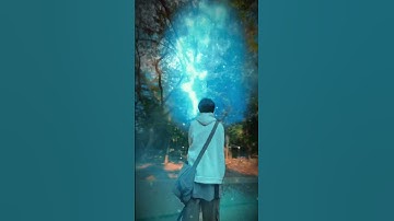 Mộ heo 5 móng ở chùa Dơi Sóc Trăng #heonammong #chùa #chuadoi #soctrang #dulich #tamlinh