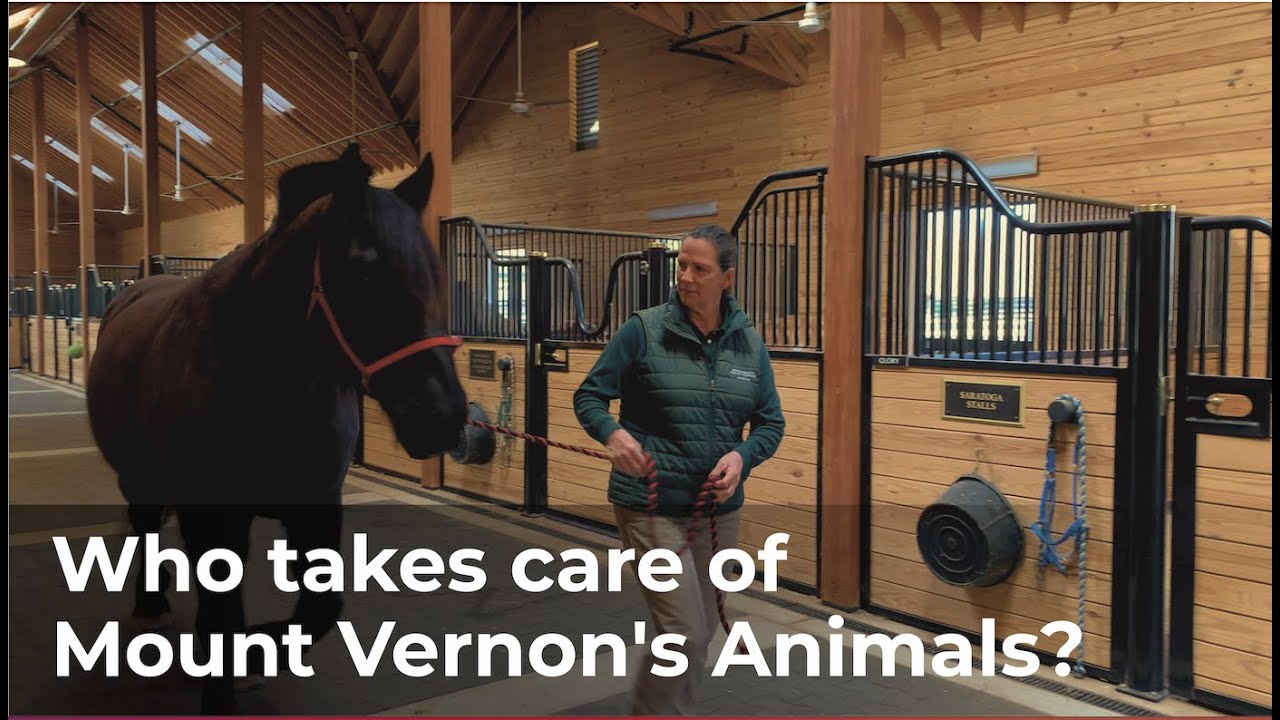 Animal Day at Mount Vernon!