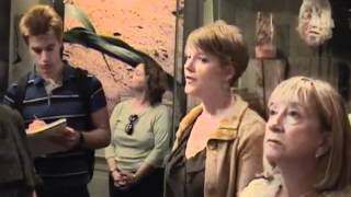 Curator's Tour of Reimagining the Americas