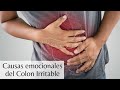 ¿Qué causa el Colon Irritable?