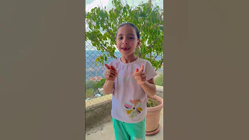 ياترى ضبطتها اروى شفا شفاوسوسو عيسى عيله فنيه خلوده حورارات 