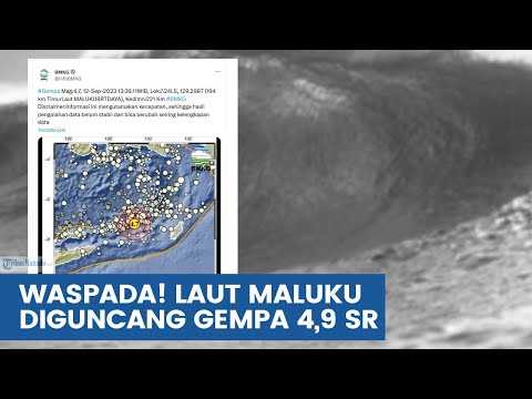 GEMPA BARU SAJA GUNCANG MALUKU BARAT DAYA SELASA 12 SEPTEMBER 2023, INFO BMKG KEKUATAN MAGNITUDONYA