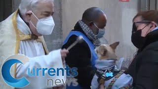 Thousands of Pets in Madrid Await Priest’s Blessings on St. Anton Day