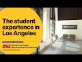 The student experience in Los Angeles