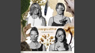 Wildflower