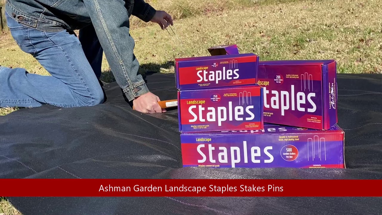 Ashman 6 Inch Landscape Staples for weed barrier fabric, ground cover