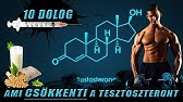 hogyan lehet csak a hasi zsírt égetni eco slim y elégtelenség vese