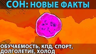 СОН: новые отрезвляющие факты и исследования. А также что дает крепкий сон и как выспаться за 4 часа