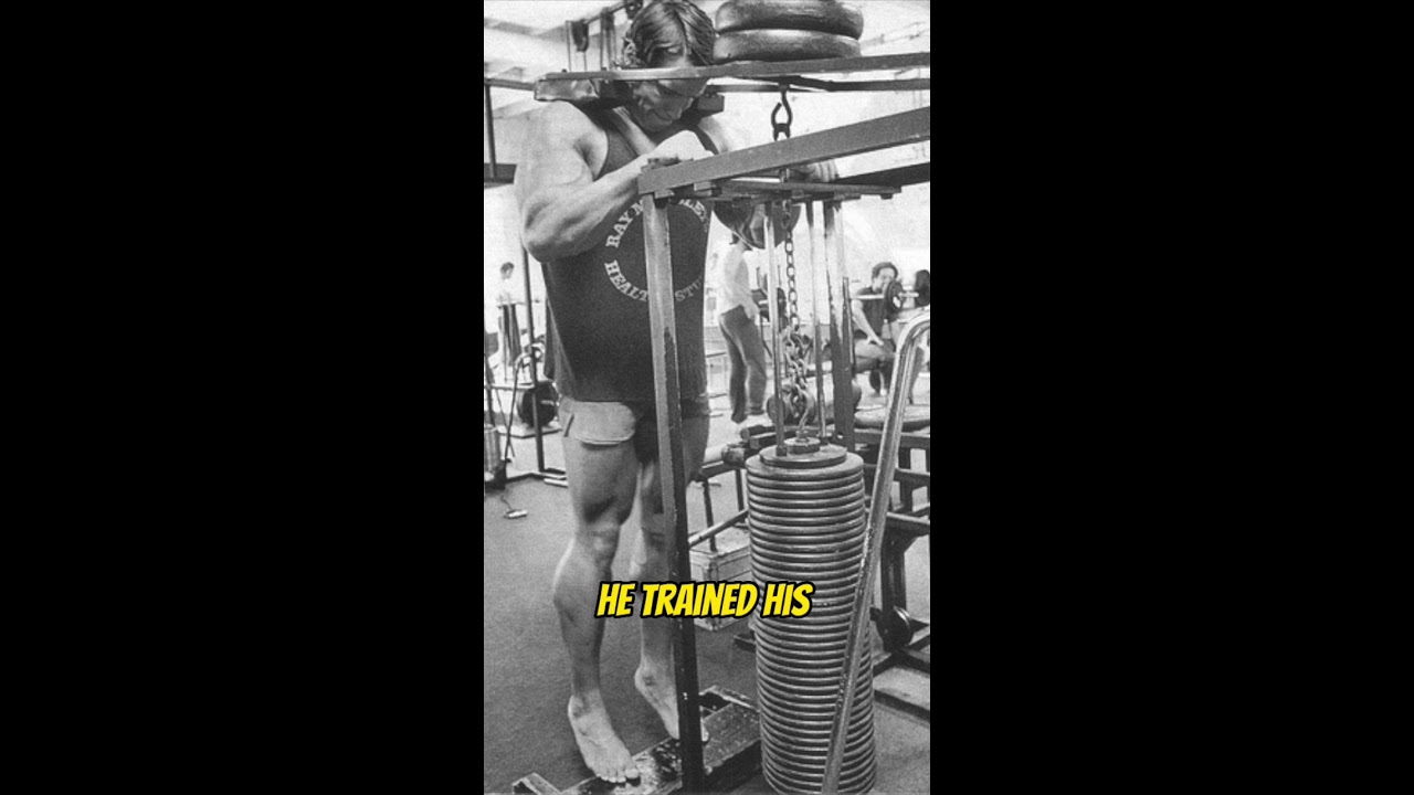 How Arnold Got Big Calves