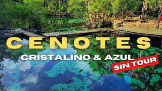 CENOTES BARATOS en CANCUN ✅  $150 pesos $8 usd 🔴 Cenote Cristalino ► Cenote Azul - Rey Trips