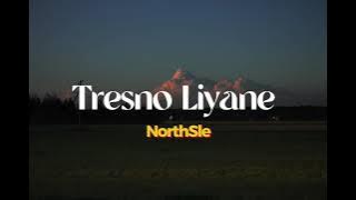 Download lagu Tresno liyane - NorthSle || Lirik Lagu