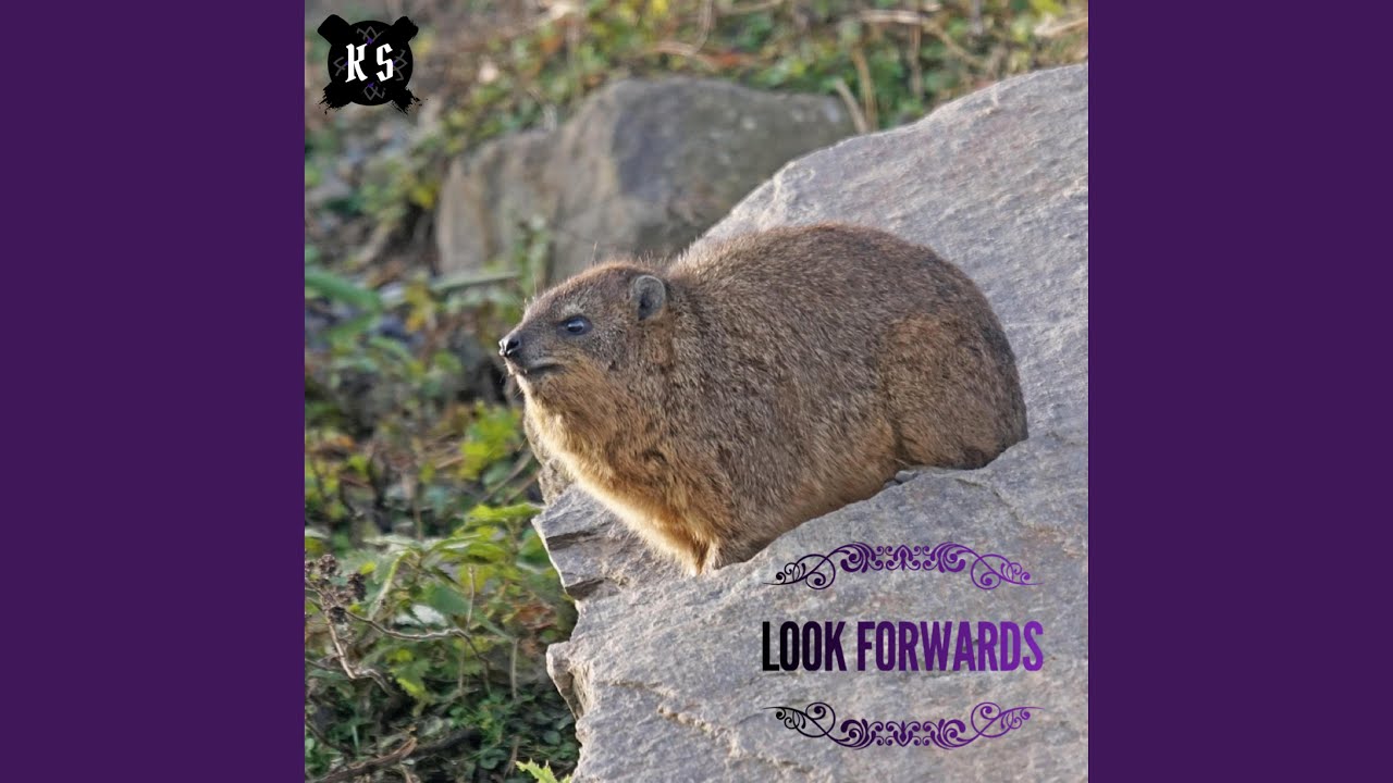 Watch Look Forwards on YouTube Watch Look Forwards on YouTube