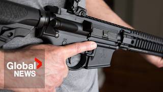 Liberal gun buyback program stumbles: What went wrong?