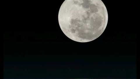 سورة الناس للشيخ حاتم فريد