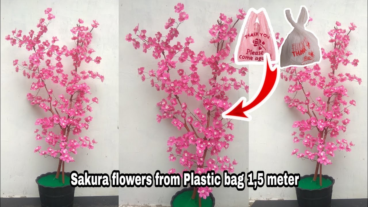 CARA MEMBUAT BUNGA SAKURA  DARI PLASTIK BUNGA  SUDUT 