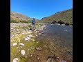 Pesca con mosca Patagonia Norte (trucha gigante) nos hizo transpirar. la corrimos por 200 metros