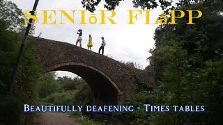 SENIÕR FŁĂPP - a little film about a weird band 