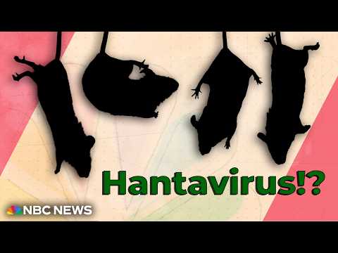 What's Going On With Hantavirus? — NBC News