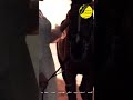 اغدا القاك الهادي ادهم القاء غزالة