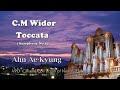 Charles-Marie Widor - Toccata (Symphony for Organ No. 5) / Cavaillé-Coll Organ of Nancy(HW8)
