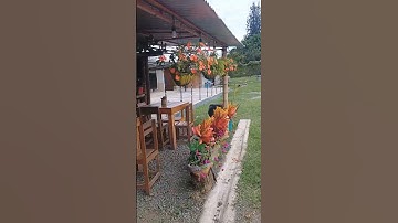 Thumbnail of #music #travel #lagocalima #montaña #viajes #flowers #flores