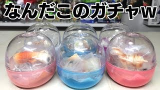 なにこのガチャガチャw はにわdeちくわ はにちくわ 開封レビュー