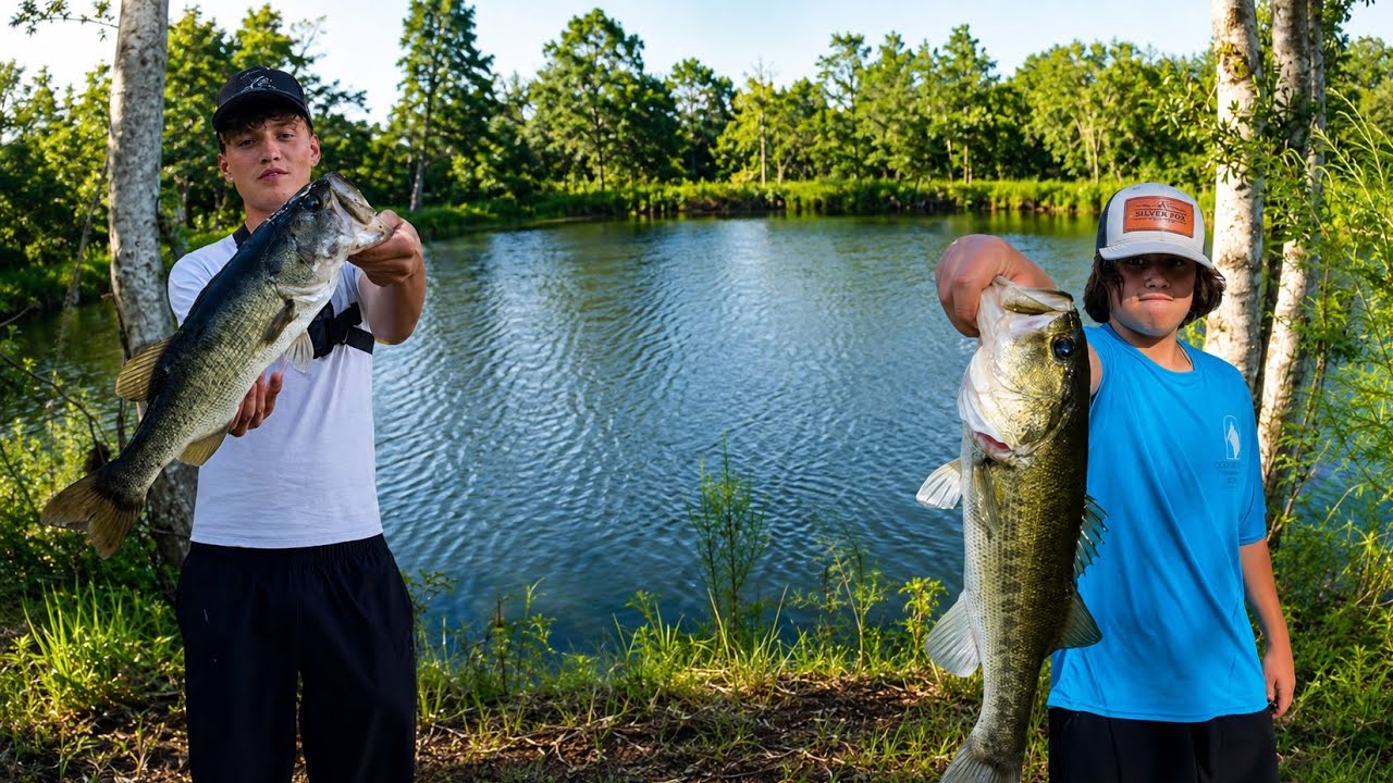 Fishing for big BASS in hidden pond with Live Bait  #bassfishing #fishing #bass ￼