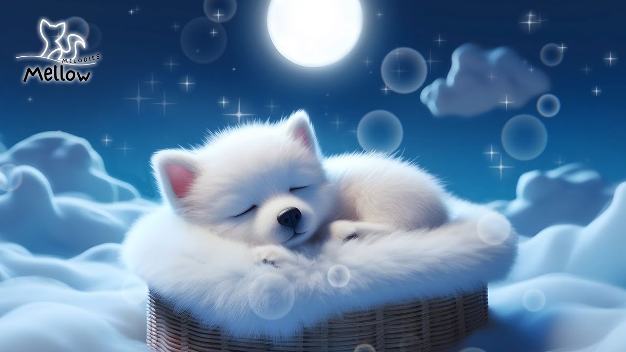 Guarda Relaxing Sleep Music - Release Melatonin & Toxin, Healing of Stress, Anxiety - Today too, good night su YouTube Guarda Relaxing Sleep Music - Release Melatonin & Toxin, Healing of Stress, Anxiety - Today too, good night su YouTube