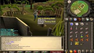 Famous Runescape 2007- How to get monkey greegree back Net Worth