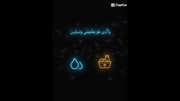 #القرآن_الكريم #قناة_القرآن_الكريم #القارئ_ياسر_الدوسري