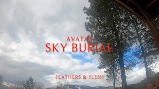 Avatar - Sky Burial (Lyrics)