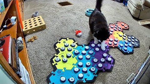 Todd Once Again Shows He Means Exactly What He Says