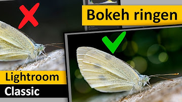 Lightroom Classic | Bokeh ringen maken (Dutch)