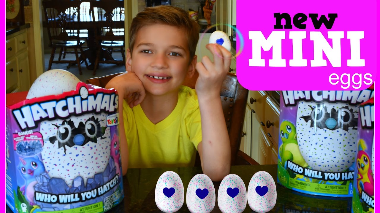 NEW MINI SURPRISE eggs Colleggtible. HATCHIMALS TOYS FOUND IN TOYS R US! KIDS SHOWvideo for