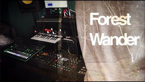 Forest Wander (ft. Akkapöy) #psytrance