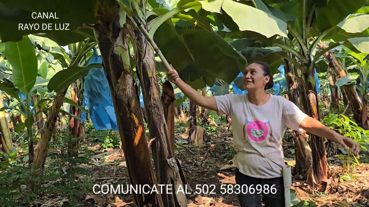 Ellos viven entre el polvo. La madre trabaja y su hija se queda a cargo de sus hermanitos. 