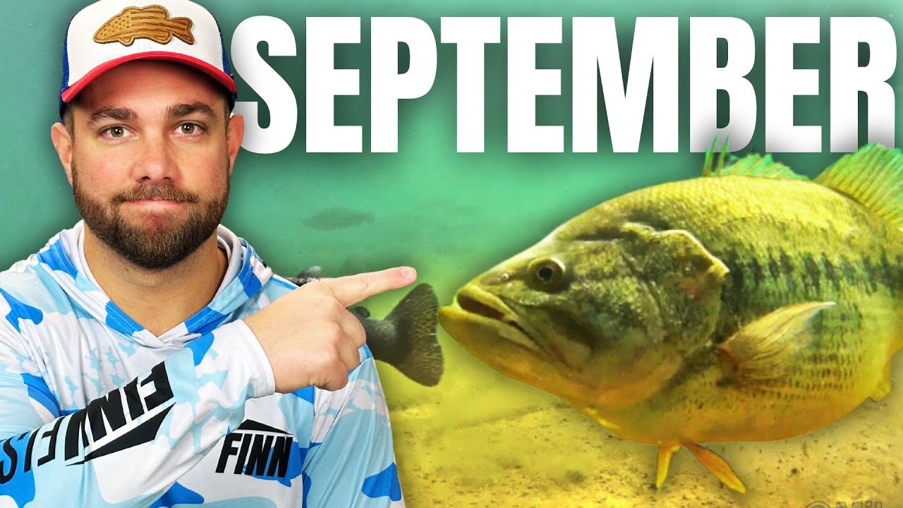 Catch BIG BASS in September!