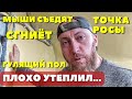 Почему я утеплил изнутри и сделал такой пол без бетона и без досок...