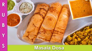 Masala Dosa & Aloo ki Sabzi & Batter Recipe in Urdu Hindi - RKK