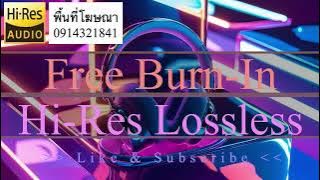 Burn In | เพลง เบิร์นหูฟัง,ลำโพง ได้ผล 100% (ครบทุกย่านความถี่เสียง) V.496