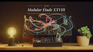 Modular Étude XXVIII | Moog Subharmonicon + Frap Tools BRENSO FALISTRI + Rabid Elephant Natural Gate
