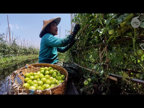 LGBTQ farmer faces discrimination in Myanmar 