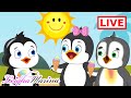 🔴LIVE!🔴 The Best Nursery Rhymes for Kids to Learn With by Leigha Marina