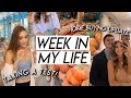 WEEK IN MY LIFE | home buying update, taking a pregnancy test, farmer's market, & insecurities!