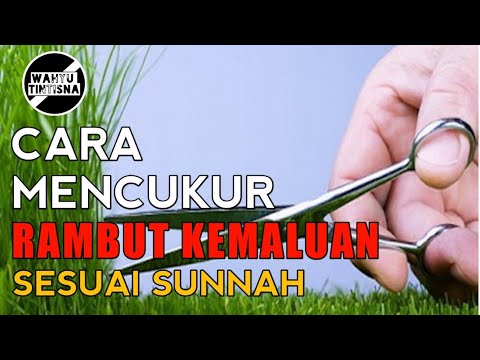 Video: Catatan untuk pria: haruskah Anda mencukur bulu kemaluan Anda?