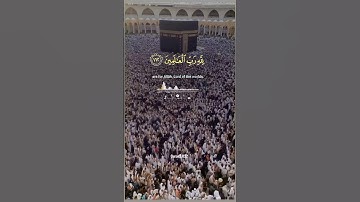 تلاوة مباركة بصوت جميل #القران_الكريم #اكسبلور #تلاوتقران #القرانالكريم