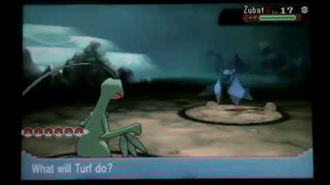 Pokemon Alpha Sapphire Let