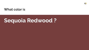 Sequoia Redwood color #763f3d hex color - Brown color - Cool color 763f3d