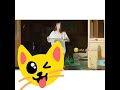 ياعبيط يالي مفكرني😂