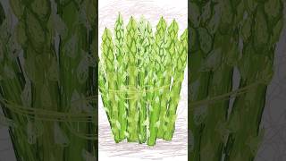 Fun Fact - Natures Rapid Rise: Witness the Astonishing Growth of Asparagus